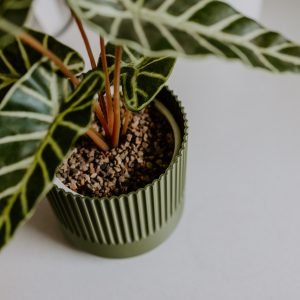 Pleat Planter - Image 6